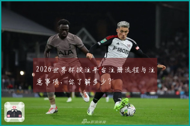 2026世界杯投注平台注册流程与注意事项，你了解多少？
