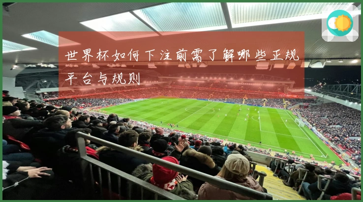 世界杯如何下注前需了解哪些正规平台与规则