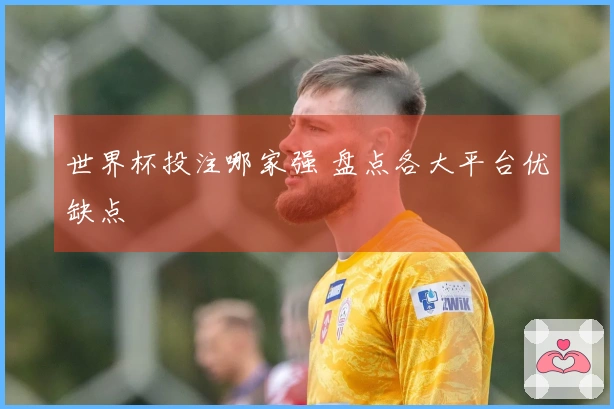 世界杯投注哪家强 盘点各大平台优缺点