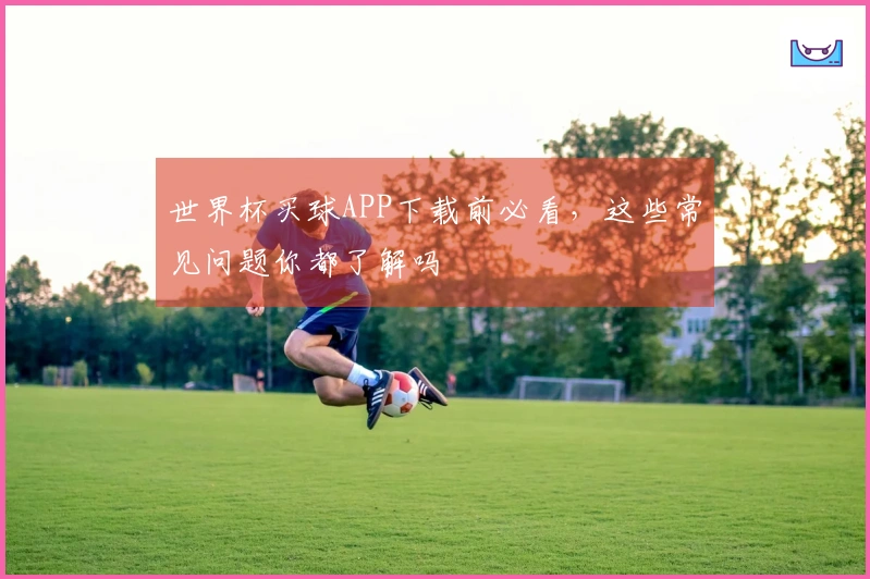 世界杯买球APP下载前必看，这些常见问题你都了解吗