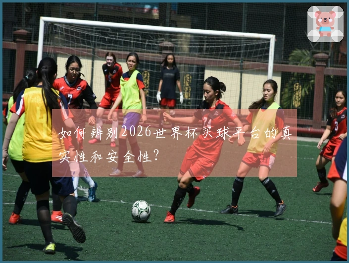 如何辨别2026世界杯买球平台的真实性和安全性？