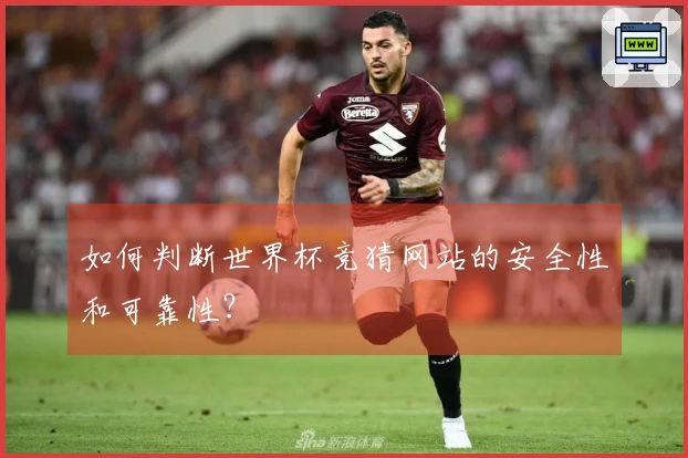 如何判断世界杯竞猜网站的安全性和可靠性？