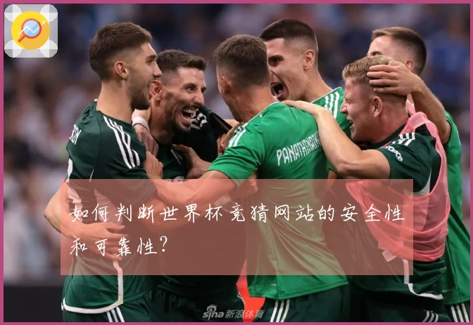 如何判断世界杯竞猜网站的安全性和可靠性？