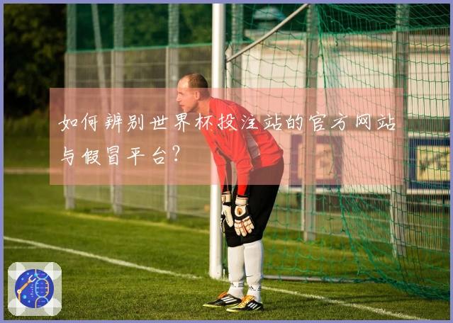 如何辨别世界杯投注站的官方网站与假冒平台？