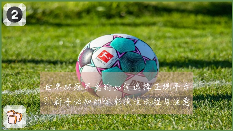 世界杯冠军竞猜如何选择正规平台？新手必知的体彩投注流程与注意事项