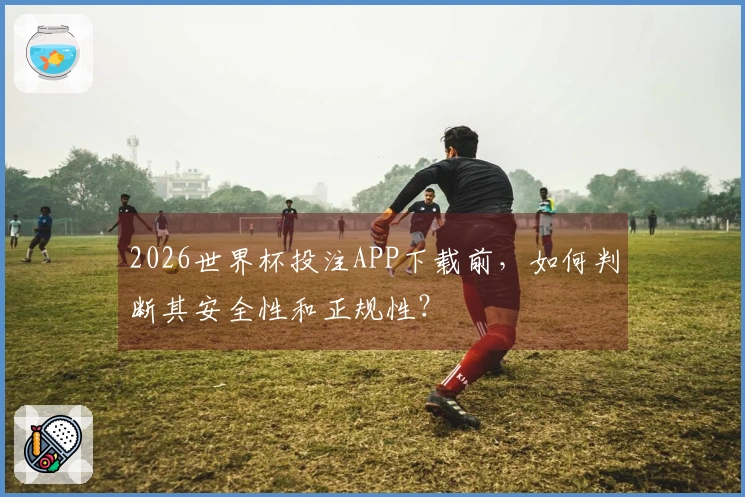 2026世界杯投注APP下载前，如何判断其安全性和正规性？