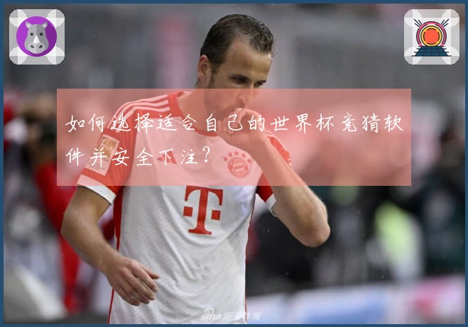如何选择适合自己的世界杯竞猜软件并安全下注？