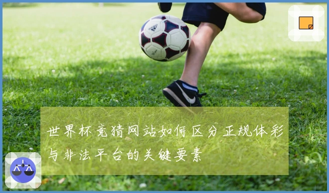 世界杯竞猜网站如何区分正规体彩与非法平台的关键要素