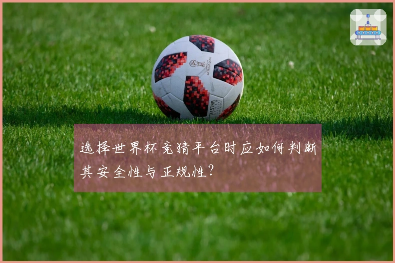 选择世界杯竞猜平台时应如何判断其安全性与正规性？