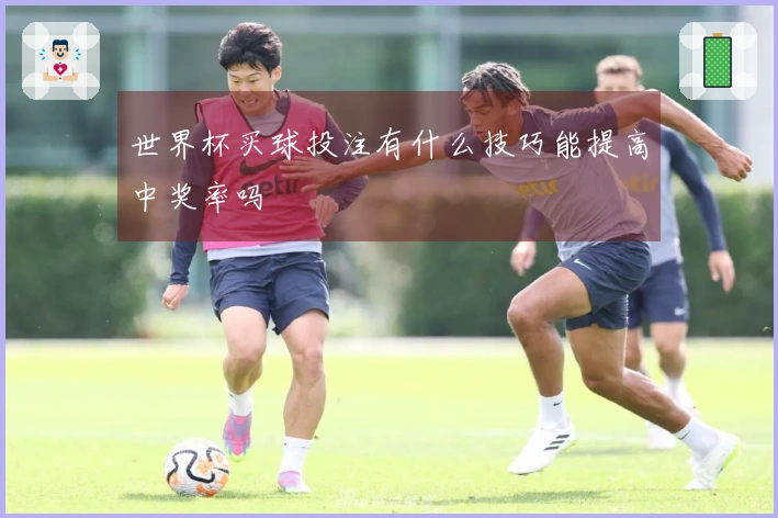 世界杯买球投注有什么技巧能提高中奖率吗